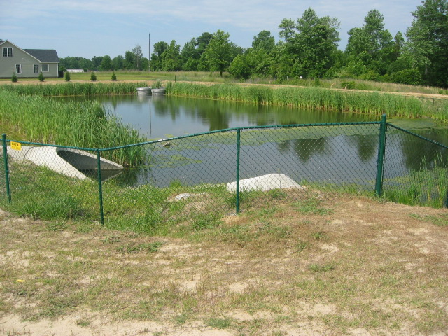 Brices Pond
